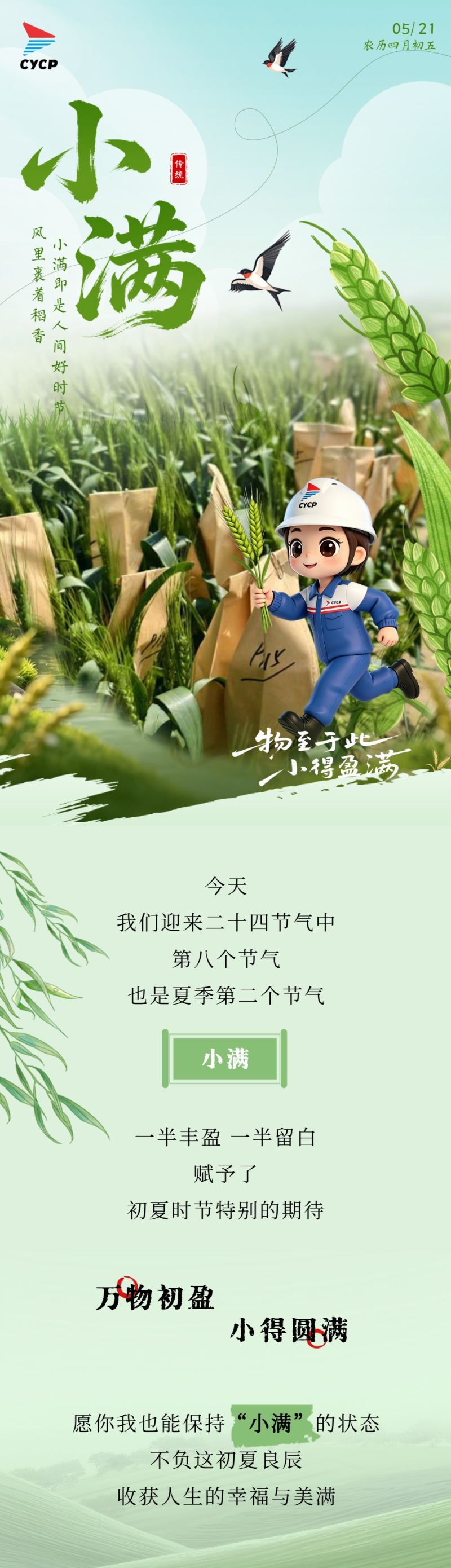 小滿節氣 (3).jpg
